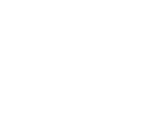 ROBUS